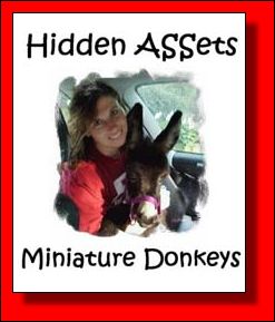 Hidden Assets