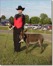 Windcrest Tito & Karen Hutchison winning 1st out of 9 entries in Yearlings at Halter!